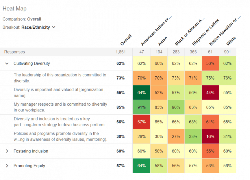 Diversity, Equity & Inclusion Newmeasures, LLC